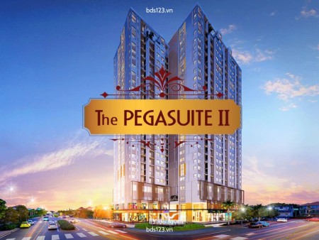 Ảnh bài viết: BĐS TP.HCM: Có nên mua chung cư The Pegasuite 2 quận 8 không?